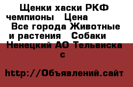 Щенки хаски РКФ чемпионы › Цена ­ 90 000 - Все города Животные и растения » Собаки   . Ненецкий АО,Тельвиска с.